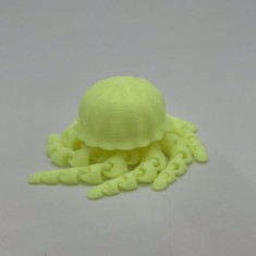 Flexi Jellyfish foto