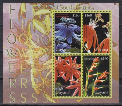 Guyana 2005 - Plante cu flori din America de Sud. Bloc, MNH foto