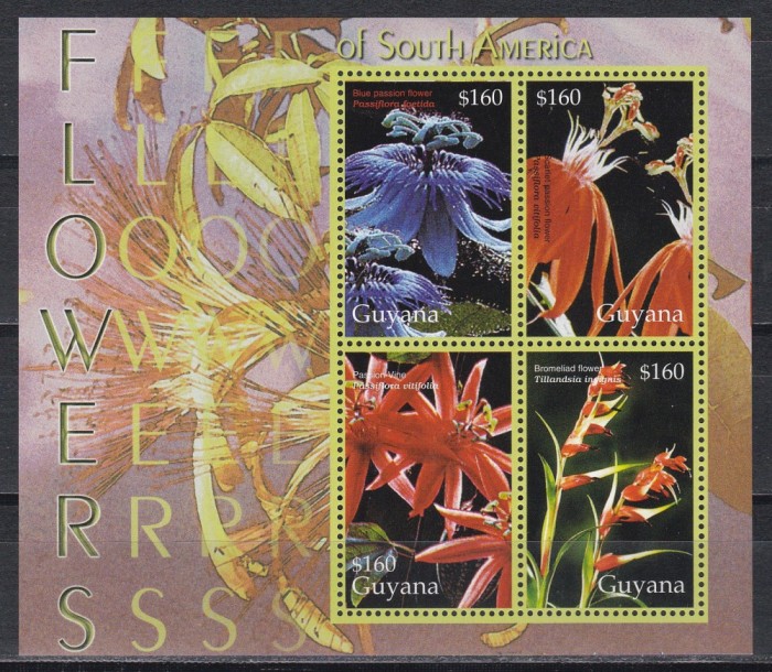 Guyana 2005 - Plante cu flori din America de Sud. Bloc, MNH