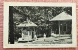 Jozsef fohcrczegkut - Erzherzog- Josephbrunnen - Fotografie veche, Alb-Negru, Europa, Monarhie