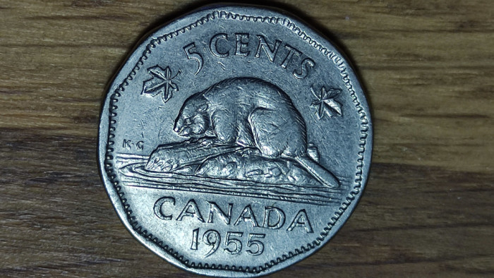 Canada -moneda de colectie- 5 cents 1955 -Elisabeta- prim an de batere, mai rar