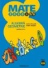 ALGEBRA. GEOMETRIE. CLASA A VIII-A. PARTEA A II-A (2000 +4/5)