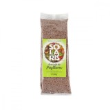 Seminte de psyllium, 100g, Solaris