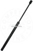 Amortizor portbagaj RENAULT MEGANE II (BM0/1, CM0/1) (2002 - 2011) AIC 53871