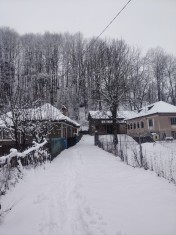 Casa boierească Urseiu