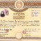 HST PM37 Diplomă de bacalaureat 1947 eliberată &icirc;n 1959 București Liceu Sf Sava