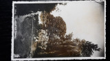 BLAJ -GORUNUL LUI IANCU -STAMPILA MONOPOLUL CARTILOR POSTALE - PER. INTERBELICA, Necirculata, Fotografie