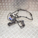 Cablaj ușă st&acirc;nga spate MASERATI QUATTROPORTE VI 2014 OEM: 06700075100 12215610