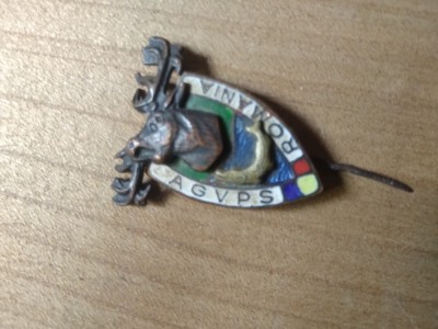 Insigna Vanatoare AJVPS Cerb foto