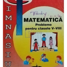 Ion Petrica - Matematica probleme pentru clasele V - VIII