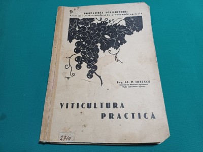 VITICULTURA PRACTICĂ *AL. P. IONESCU / 1934 * 30 foto