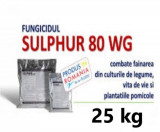 Fungicid Sulphur 80 WG 25 kg, Agrostulln