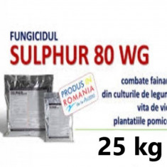 Fungicid Sulphur 80 WG 25 kg