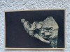 Carte postala reproducere arta .Barlad 1925