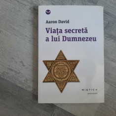 Viata secreta a lui Dumnezeu de Aron David