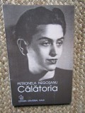 Călătoria - Petronela Negoșanu