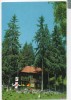 CPI B 11036 CARTE POSTALA - CABANA HOMOROD, Necirculata, Fotografie