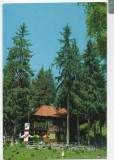 CPI B 11036 CARTE POSTALA - CABANA HOMOROD
