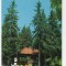 CPI B 11036 CARTE POSTALA - CABANA HOMOROD