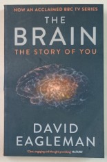 THE BRAIN , THE STORY OF YOU by DAVID EAGLEMAN , 2016 , PREZINTA HALOURI DE APA