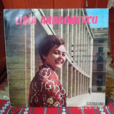 -Y- LIDIA ANDRONESCU ( VINIL 7 &amp;quot; DISC - STARE EX++ foto