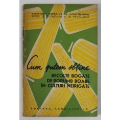 CUM PUTEM OBTINE RECOLTE BOGATE DE PORUMB BOABE IN CULTURI IRIGATE , 1963