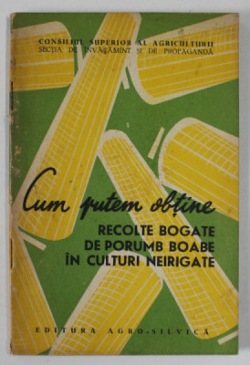 CUM PUTEM OBTINE RECOLTE BOGATE DE PORUMB BOABE IN CULTURI IRIGATE , 1963 foto