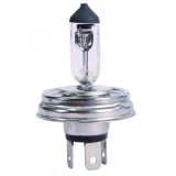 Bec halogen H5 12V 60/55W P45T E4