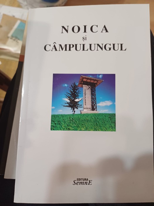 Noica și C&acirc;mpulungul