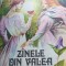 ZINELE DIN VALEA CERBULUI