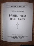 Sfanta scriptura Vechiul testament Daniel,Osea,ioel,Amos Transcriere in Braille