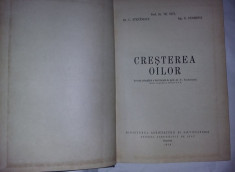 carte veche OVINE 1959,CRESTEREA OILOR,TH.NICA,C.STEFANESCU,DERMENGI,T.GRATUIT foto