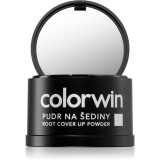 Cumpara ieftin Colorwin Powder pudră pentru păr pentru volum și acoperirea firelor albe culoare Black 3,2 g