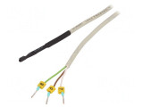 Senzor de temperatură DS18B20 cu sondă 2.5m