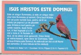 bnk cld Calendar de buzunar 1999 - religios