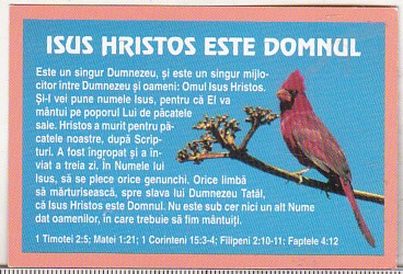 bnk cld Calendar de buzunar 1999 - religios foto
