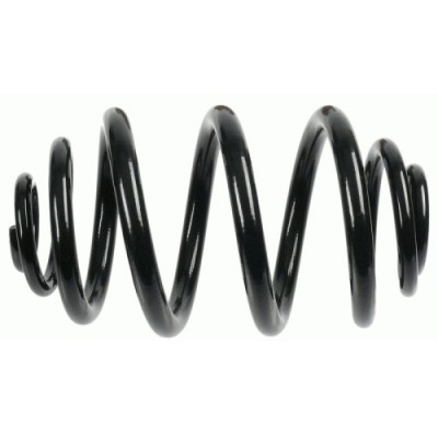 Sachs Arc spiral foto