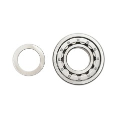 Rulment transmisie pentru Fiat, New Holland, Case IH cod OEM 5125376, 5138660 Breckner Germany foto