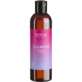 Sampon pentru Volum Benecos cu Bambus Bio, Natural, Fara Parabeni si Silicon, 250ml