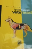 SPLANHNOLOGIE VETERINARA