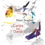 Cartea lui David - Brumar