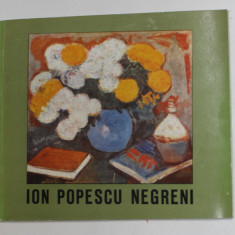 ION POPESCU NEGRENI , CATALOG DE EXPOZITIE , MUZEUL DE ARTA AL R.S.R . , NOIEMBRIE ,1987 , DEDICATIE *