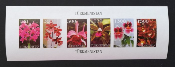 TURKMENISTAN- ORHIDEE-6v in 1 coala mica-nedantelata-MNH** -TU PLR 61