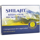 Shilajit - Rasina Vietii din Muntii Altai 60tb