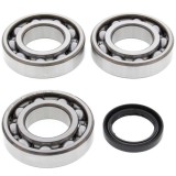 Cumpara ieftin Lagare cu arbore cotit set cu garnituri pentru POLARIS ATV, BIG BOSS, MAGNUM, SCRAMBLER, SPORTSMAN, WORKER, XPLORER 335-500 1995-2003