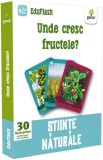 Unde cresc fructele? Stiinte naturale |