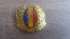 QW14 - Emblema militara / cuc - uscat - anii 1990 - piesa de colectie