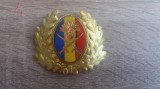 QW14 - Emblema militara / cuc - uscat - anii 1990 - piesa de colectie