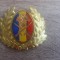QW14 - Emblema militara / cuc - uscat - anii 1990 - piesa de colectie