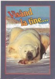 bnk cp Felicitare - Visand la tine ... - urs polar